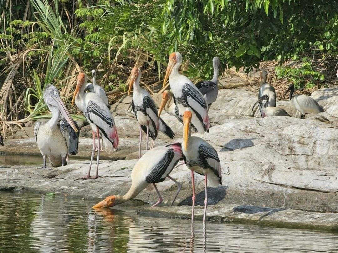 Sultanpur Bird Sanctuary